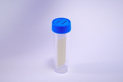 Schnelltest Mikrobiologie