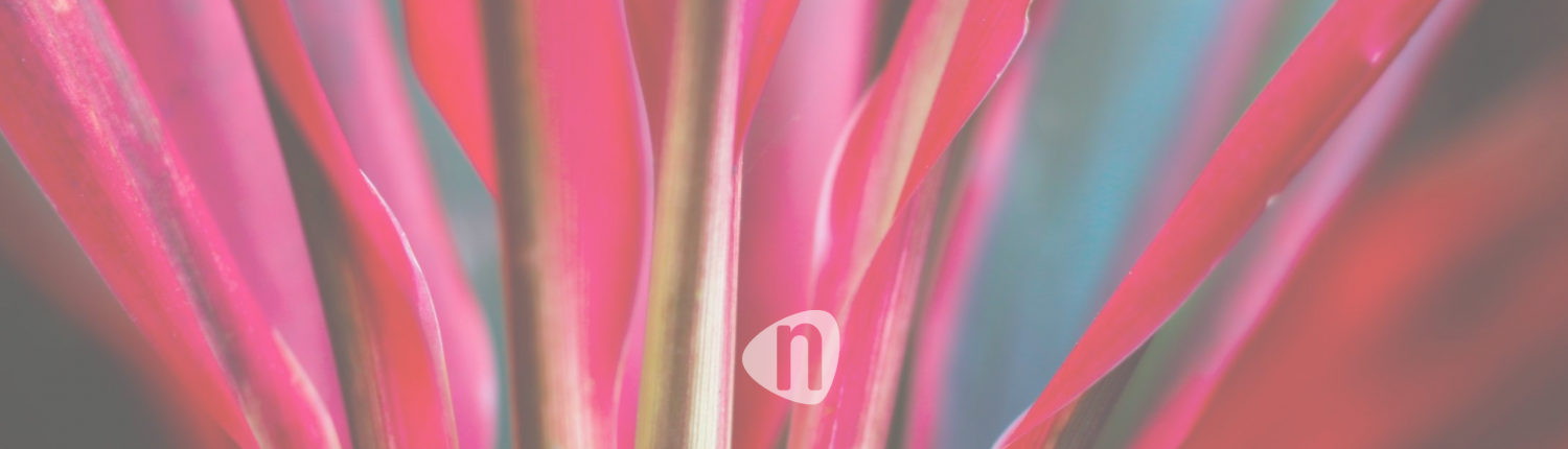 Banner_Schulungen2026_2560x750px (1)