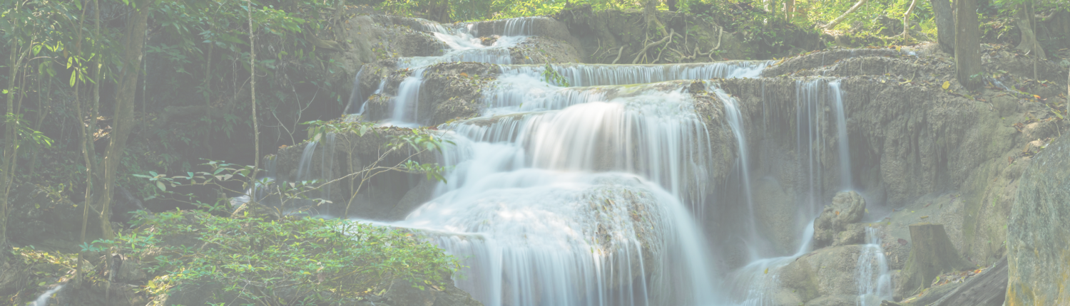 Banner_Ausleitung_2560x750px